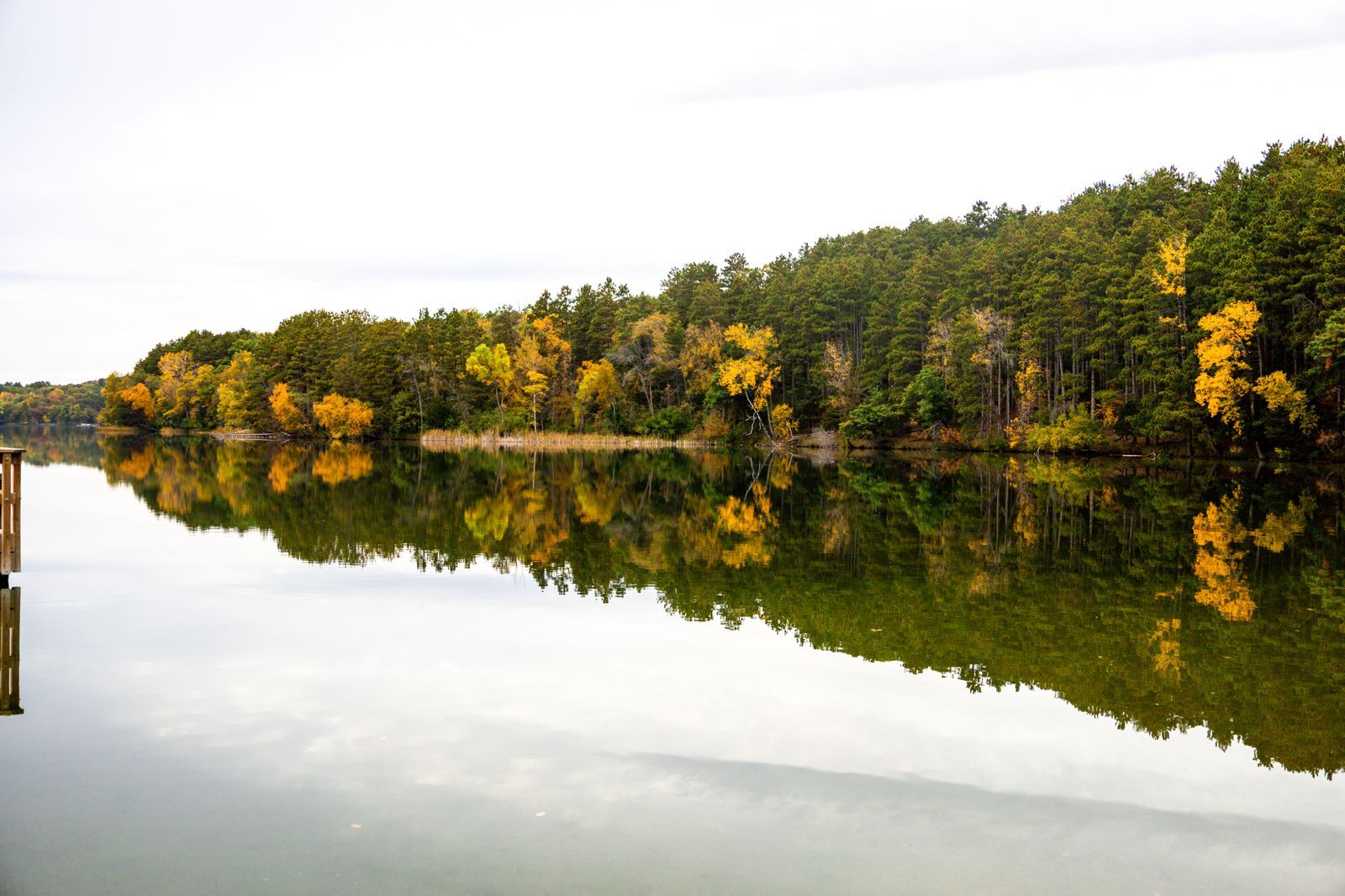 Autumn trees reflected in calm water near Stillwater, Minnesota